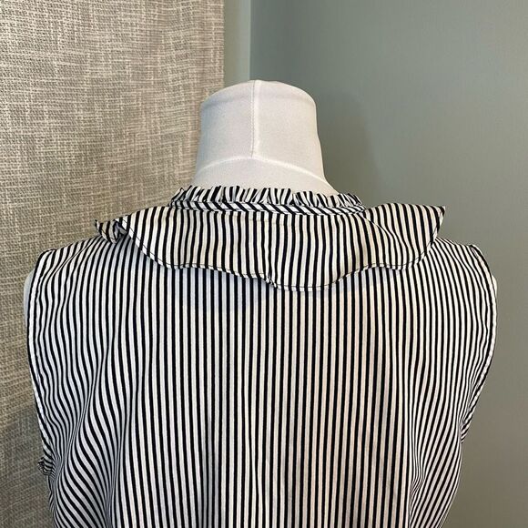 Karl Lagerfeld Paris Yagavi Ruffle Front Sleeveless Button Front Blouse Medium - Picture 5 of 8